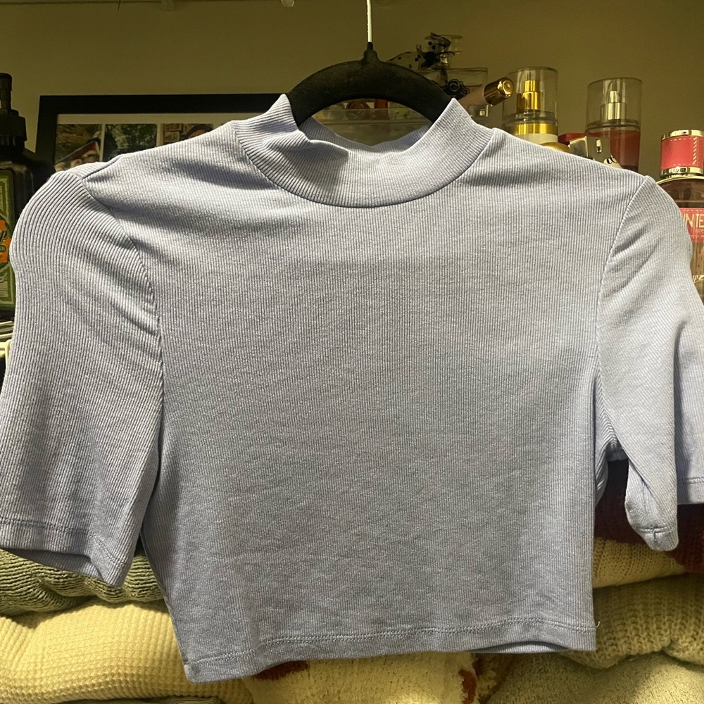 SHEIN Periwinkle  Crop Top Short Sleeve Fitted